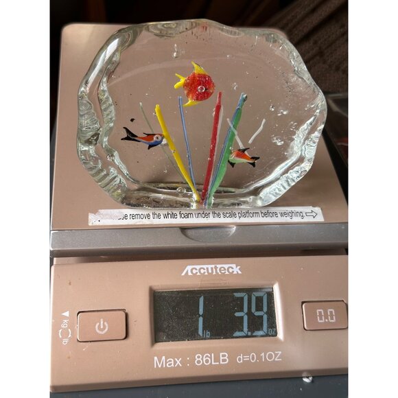 Vintage Handcrafted Glass Paperweight With Colorful Fish & Flower Scene - Picture 5 of 7